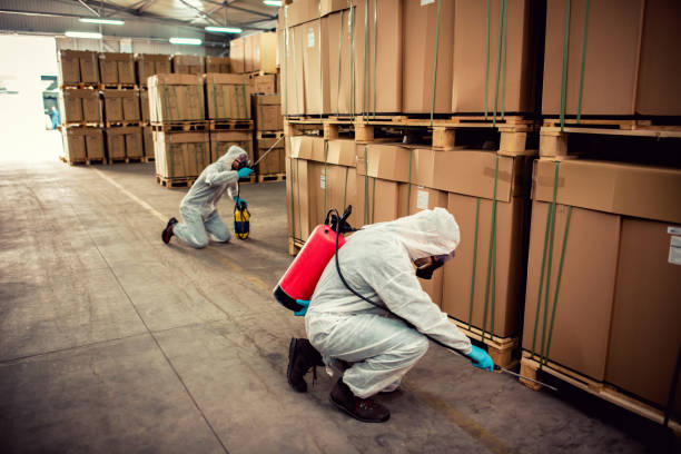 Best Commercial Pest Control Services  in Sahuarita, AZ