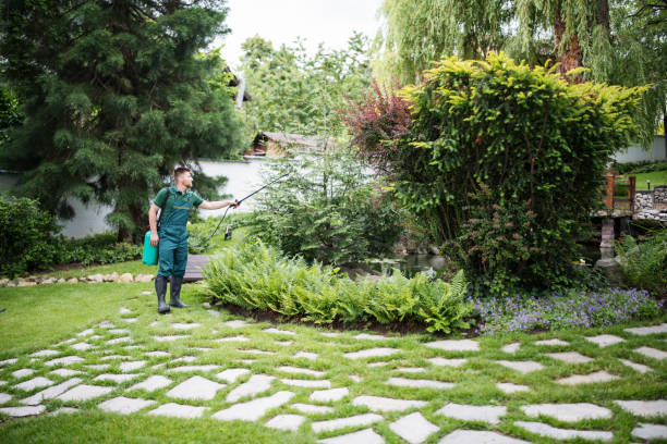 Best Pest Control Near Me in Sahuarita, AZ